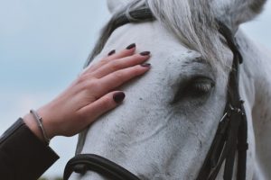 Unique in the Dark horse